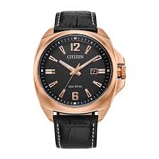 Citizen Endicott Eco-Drive Men's Watch Model No. AW1723-02E