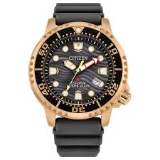 Citizen Promaster Dive Eco-Drive  Model No. BN0163-00H